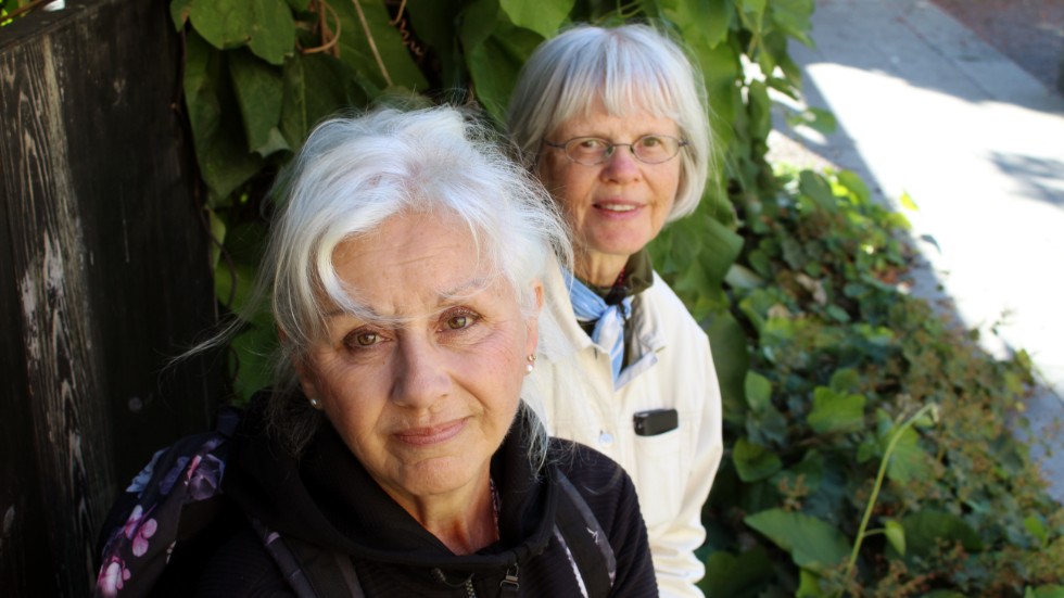 Nu är det hög tid att även vuxna sluter upp för klimatet, menar Annette Almqvist Gustafsson och Margareta Larsson.