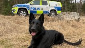 Polishunden Luna avgörande i tjuvjakt