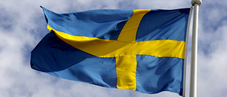 Nationaldagen: Svenska flaggan rekordpopulär i Norrköping