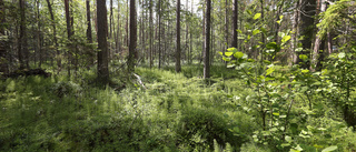 En omställning behövs för att rädda naturen