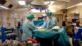 Upp till 50 personer dör årligen i väntan på organtransplantation