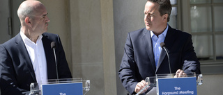 Cameron och Reinfeldt nästan lika som bär