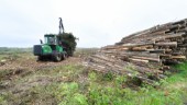 Insändare: Skövling av skog när Northvolt-fabriken byggs