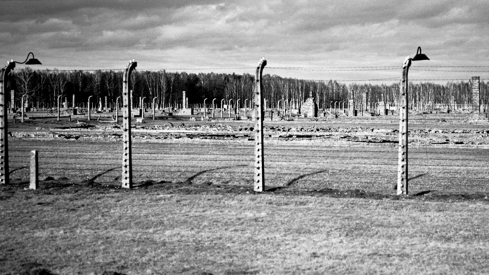 Förintelselägret Auschwitz-Birkenau befriades av Röda Armén som var på väg genom Polen för slutstriden med nazisterna i Tyskland. 