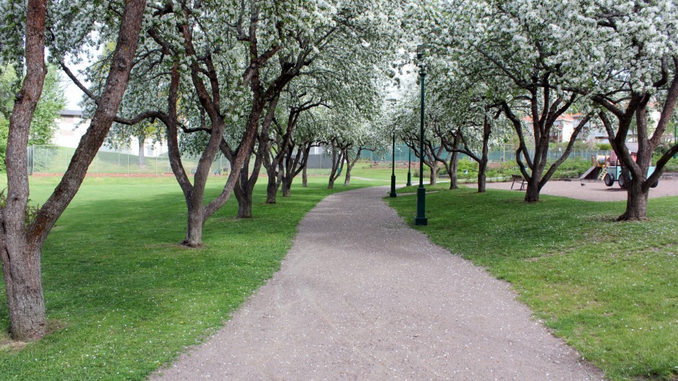 Källängsparken är ett av Vimmerbys byggnadsminnen. 