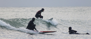 Gotland är surfarnas mekka    
