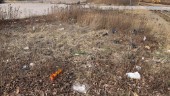 Nedskräpning längs Norra Promenaden