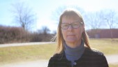 Gotlands almar dör snabbt om bekämpning uteblir