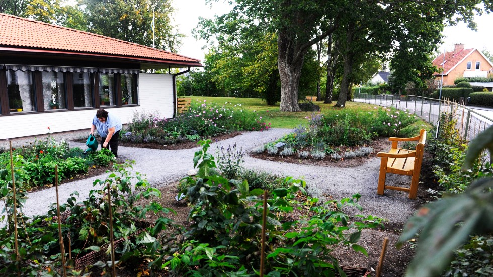 Den framväxande trädgården utanför Mötesplats Johannes är tänkt att vara inbjudande och öppen för alla.