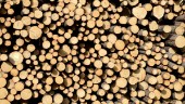 Samhället inte upplagt för skogsbruk