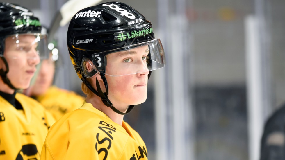 "Det finns en hajp kring honom", säger Luleå Hockeys junioransvarige Urban Wikberg.