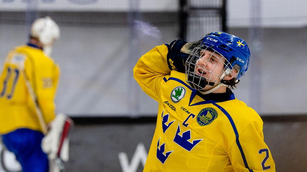 VIK-fostrade Emil Andrae nämns som en av de hetaste svenska talangerna inför sommarens NHL-draft.