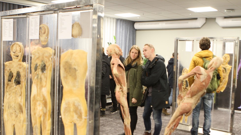 Paret Malin Oscarsson och Johan Börjesson får se människokroppen i detalj på utställningen "Äkta konserverade människokroppen". 