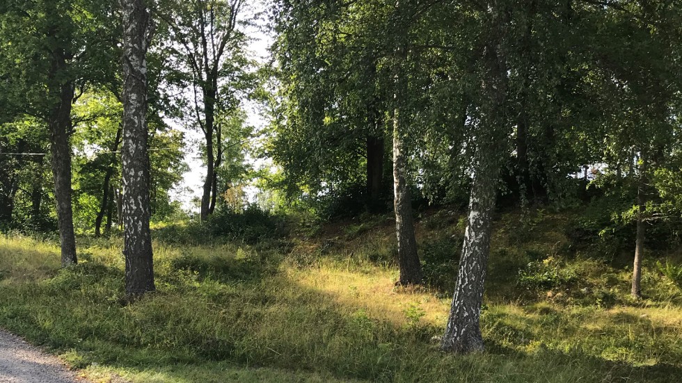 Länsstyrelsen har fattat beslut om att bilda ett naturreservat på Åsbyåsen nordväst om Strängnäs.