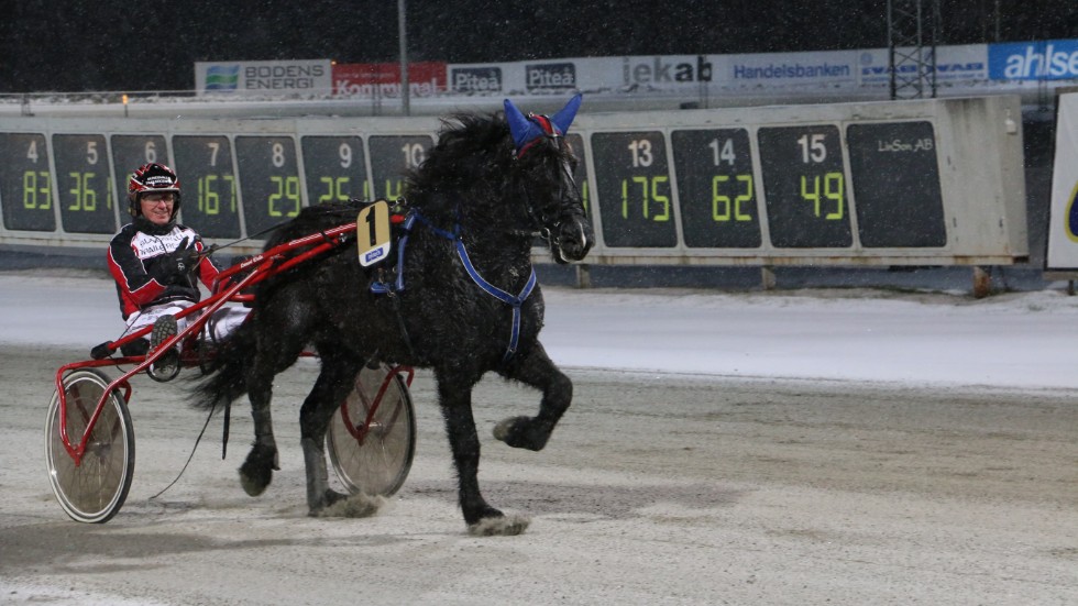 Hibovalle (Ingvar Nyberg) vann Greivins Minne med hela 100 000 kronor i förstapris.