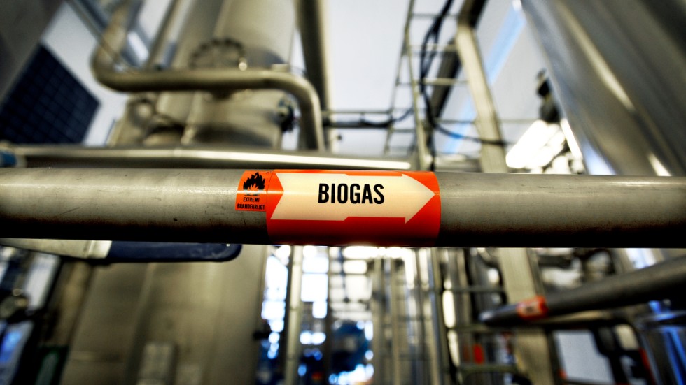 Biogasproduktionen i Sverige skulle kunna ökas rejält, men då måste rätt förutsättningar ges, menar skribenterna.