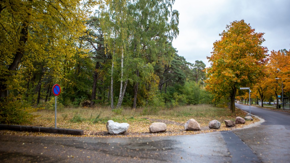 Stenar blockerar gräsytan närmast Visborgsallén utmed Kung Oscars väg.
