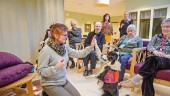 Terapihund har praktik på demensboende