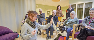 Terapihund har praktik på demensboende