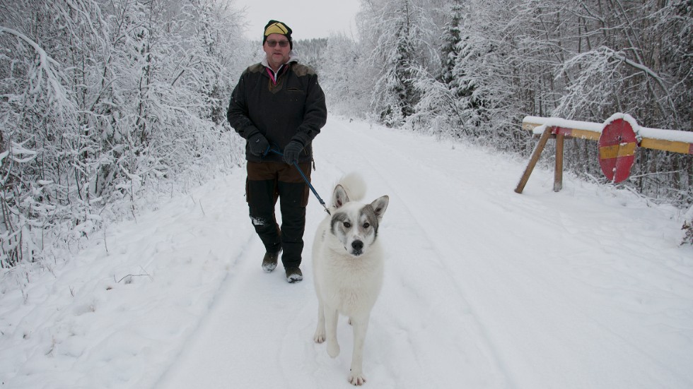 Stig Enberg med hunden Ice spanar i området runt jaktstugan." Vi ska jaga älg så det är klart att det finns en oro att släppa hundarna."