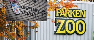 Myndighet hjälpte Parken Zoo mörka djurart