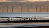 Norge satsar på vindkraft i Nordsjön