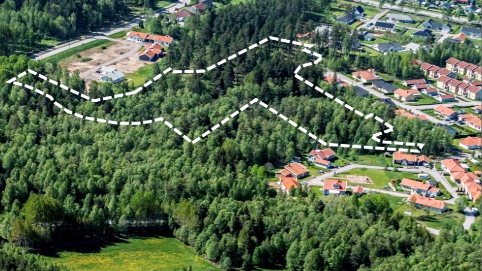 I det här skogsområdet mellan Stubingränd och Kompassgränd i Vimmerby stads nordöstra delar ska bli fler bostadstomter.