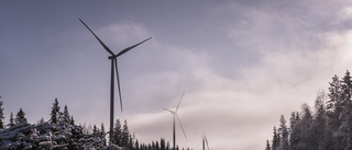 Klartecken för ny vindkraftspark – 19 vindkraftverk får byggas nära Fällfors