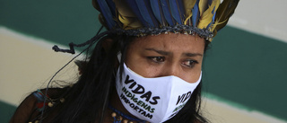 Fondchefer: Stoppa skövling av Amazonas
