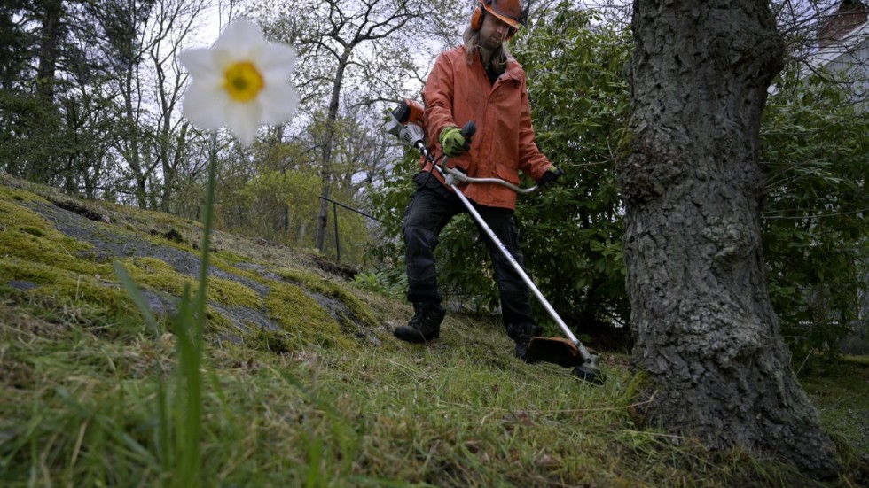 Att få hjälp med bland annat att röja sly räknas som städning och omfattar möjligheten till rut-avdrag.