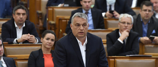 Slapphäntheten mot Ungern gör EU till nytt FN