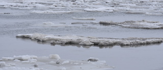 Nordpolen kan snart ha isfri sommar