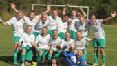 Hultsfred slog Västervik i cupmatchen