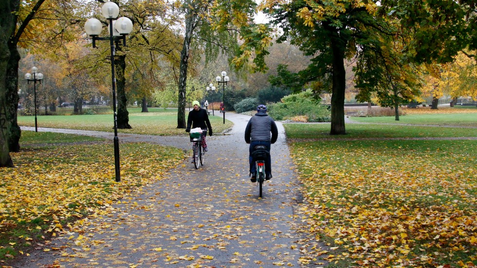 Cykelbanan i Stadsparken ska utrustas med ny belysning.