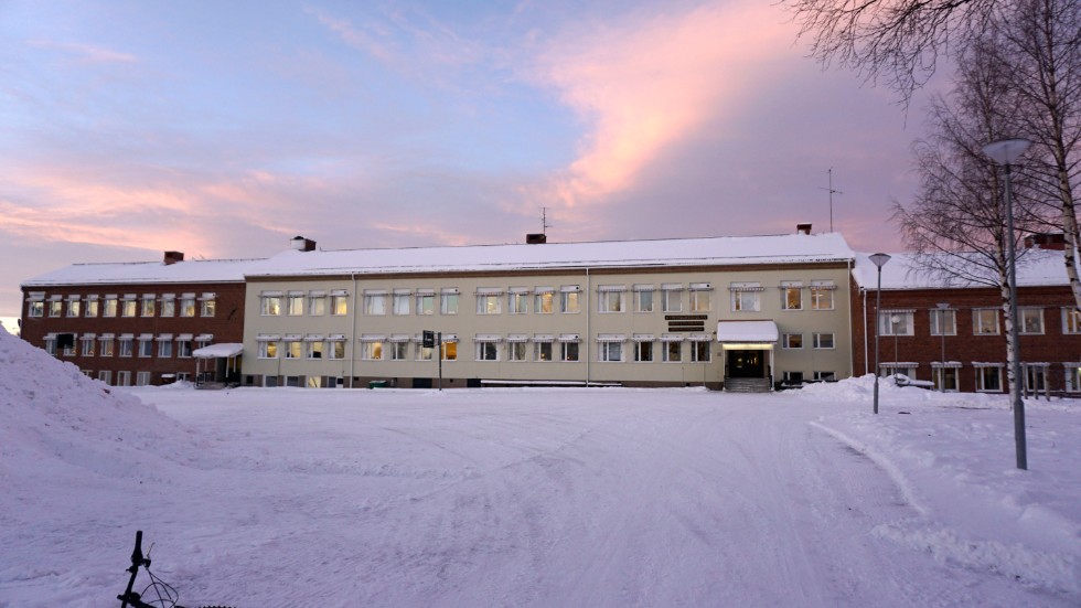 Sverigedemokraternas distriktsordförande i Norrbotten, Per Göransson, anklagar Silverskolan för att bedriva partisk samhällsundervisning.