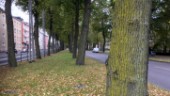 Stora lampor lyser upp i Promenaden
