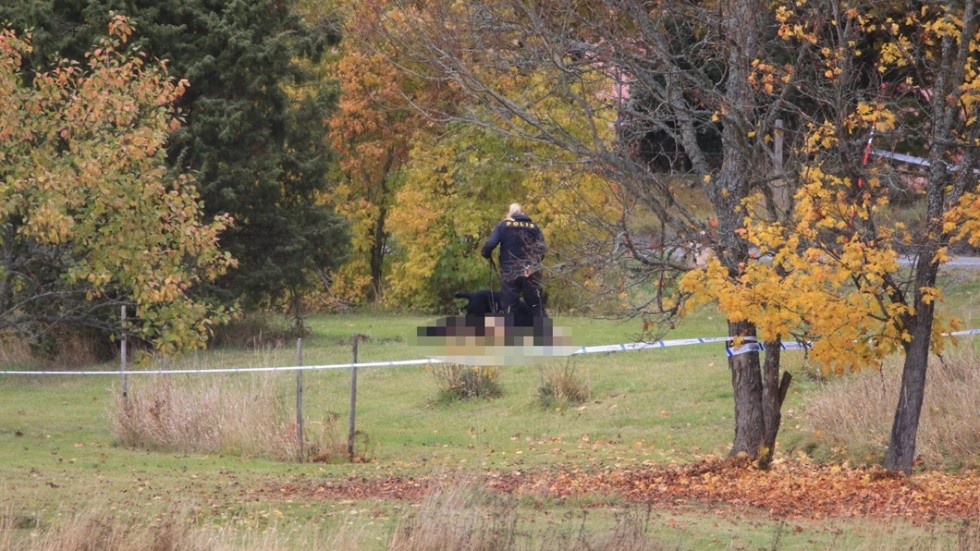 Den döda kroppen hittades på en gräsmatta i Knivstatrakten. 