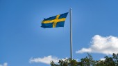 Grandios självbild gjorde Sverige sämre