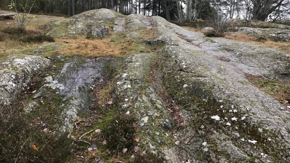 Parken Rustas Upp För Miljonbelopp Det Blir Fint 0581