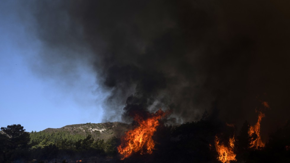 De turister som tvingades fly bränderna på Rhodos erbjuds en veckas gratis boende på ön under nästa vår eller höst. Arkivbild