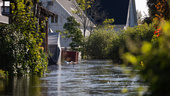 Räkna med nya översvämningar i Uppland