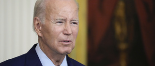 Biden till Vietnam – vill stärka band