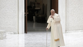 Vatikanen välsignar samkönade partnerskap