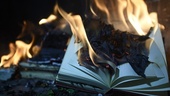 Blir det förbjudet att bränna Koranen nu?