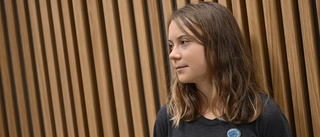 Israel stryker Greta Thunberg ur läroplanen