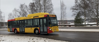 Mamma kritisk: Inga bälten i bussen som går på E22