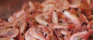Norge och EU överens om tullhinder för fiskexport