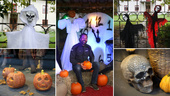 Laddar för halloween: Spöken och läskiga pumpor i öns socknar