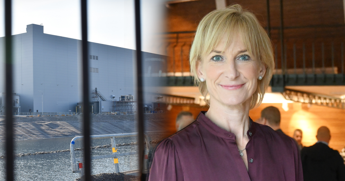 Regeringens industrisamordnare: ”Större än ett enskilt bolag”