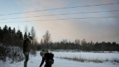 Fyra kilometer i vargens spår – slaget rådjur och viloplatser i snön: "Har haft det ganska soft här"